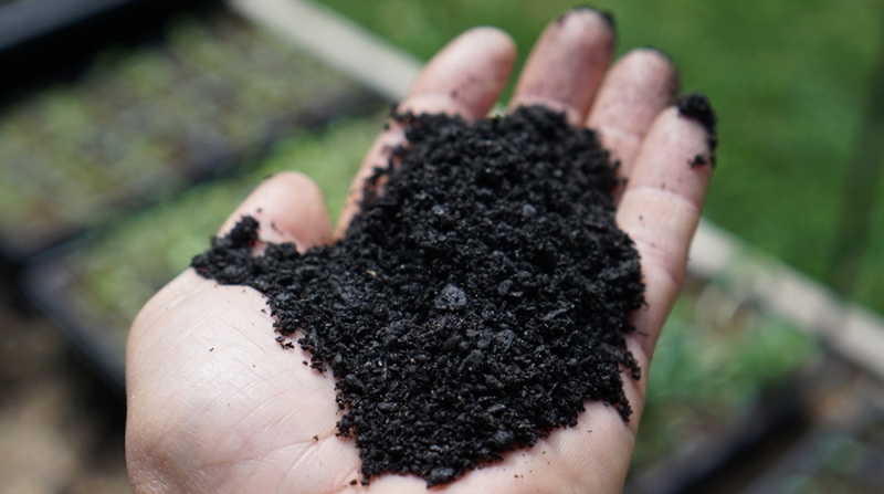 Top Coconut Shell Activated Carbon Manufacturers and Suppliers in India