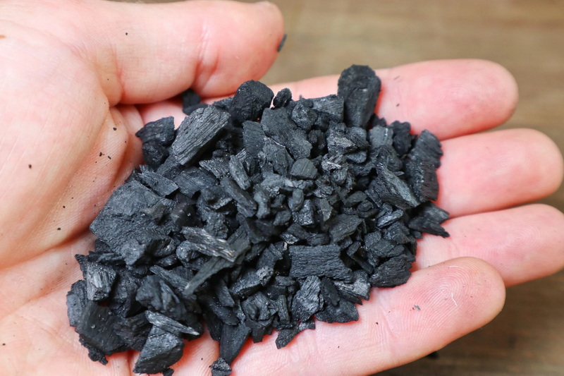 Using Activated Carbon In Terrarium