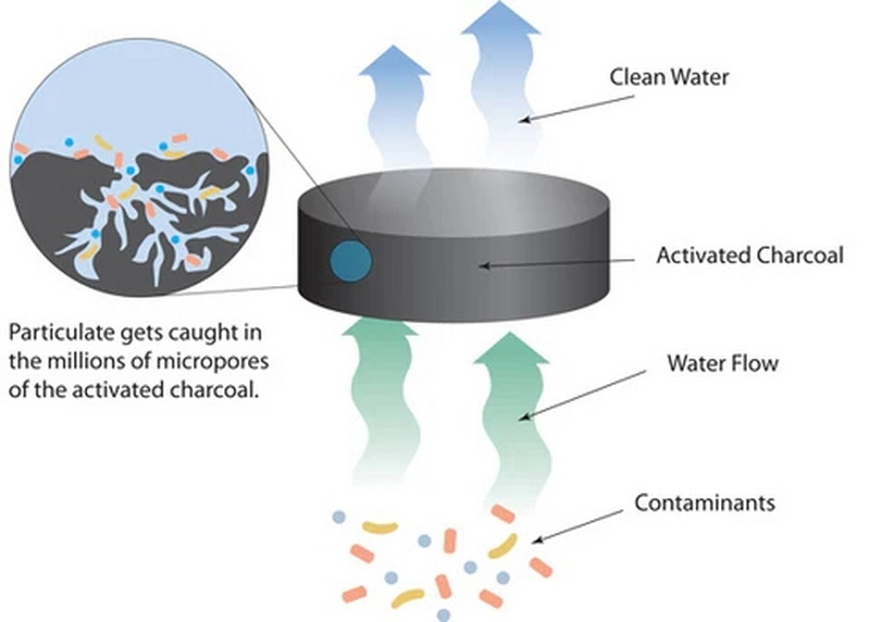 Activated Carbon Vs Fluoride Activated Carbon Vs Fluoride